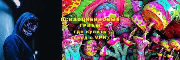 гашик Володарск