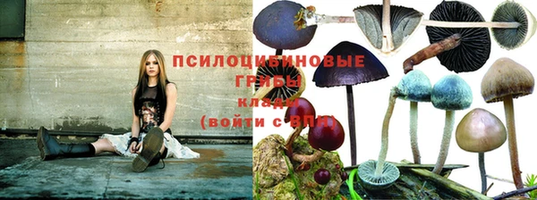 синтетический гашиш Волоколамск