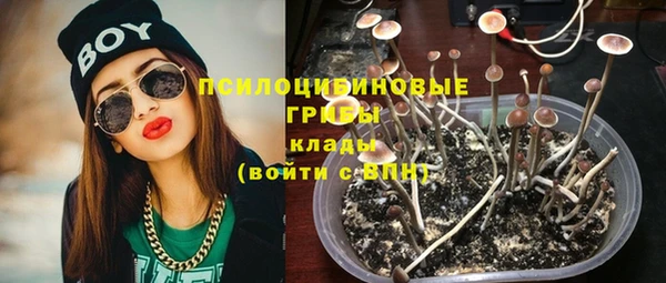 гашик Володарск